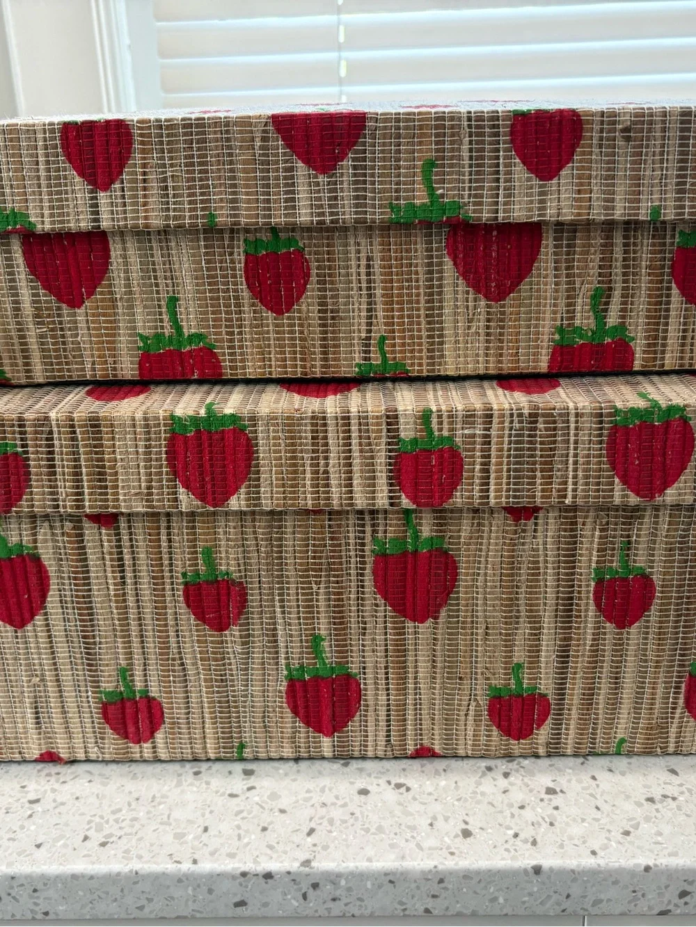 NWT Straw Woven Storage Boxes with Red Strawberry Print- 2 pack nesting